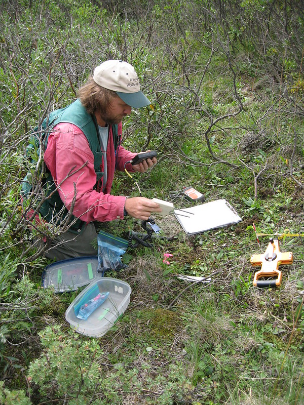 Plant ecologist Carl Roland collects soil temperature and moisture data while performing soil sampling protocol in Denali NP. National Park Service, Alaska Region